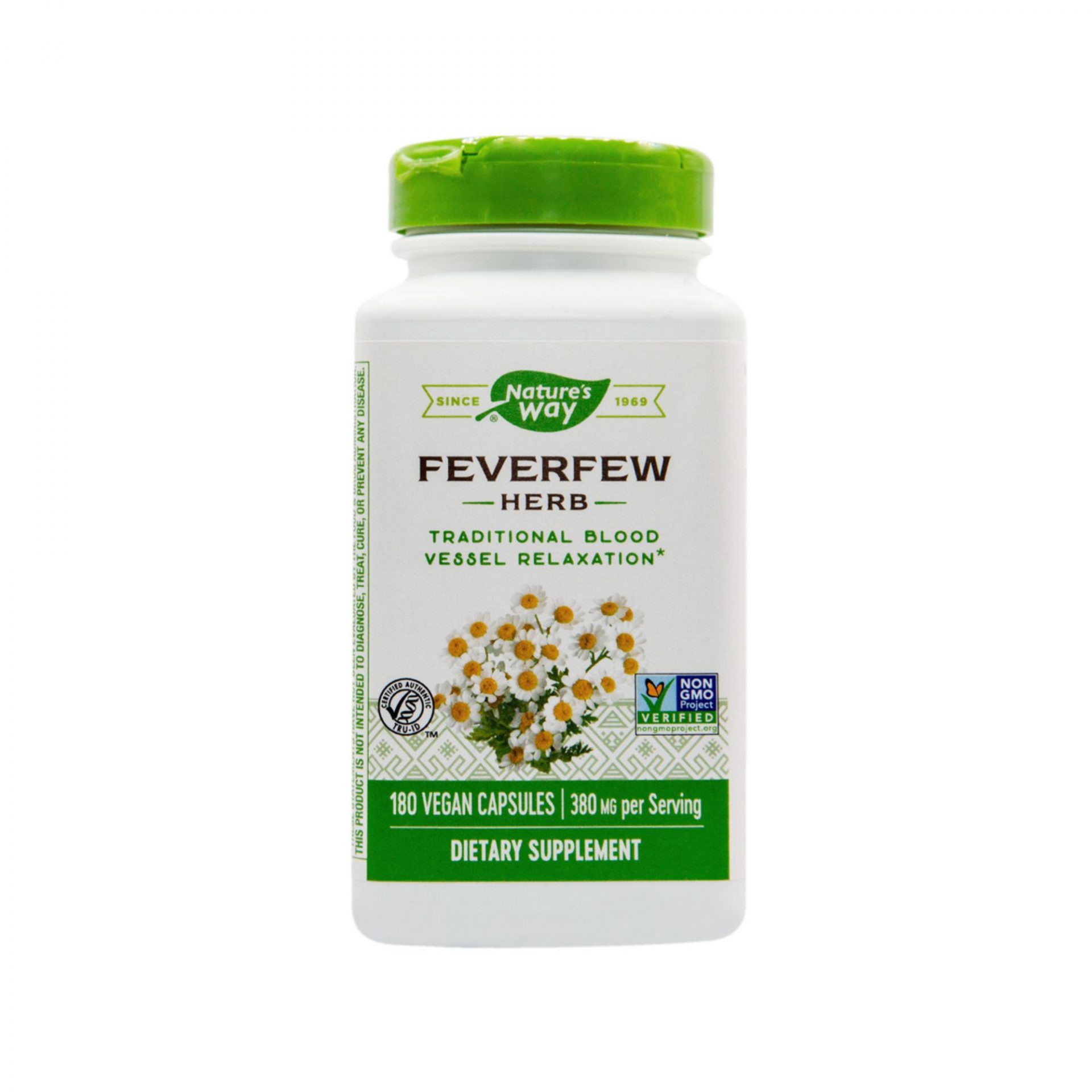 Feverfew